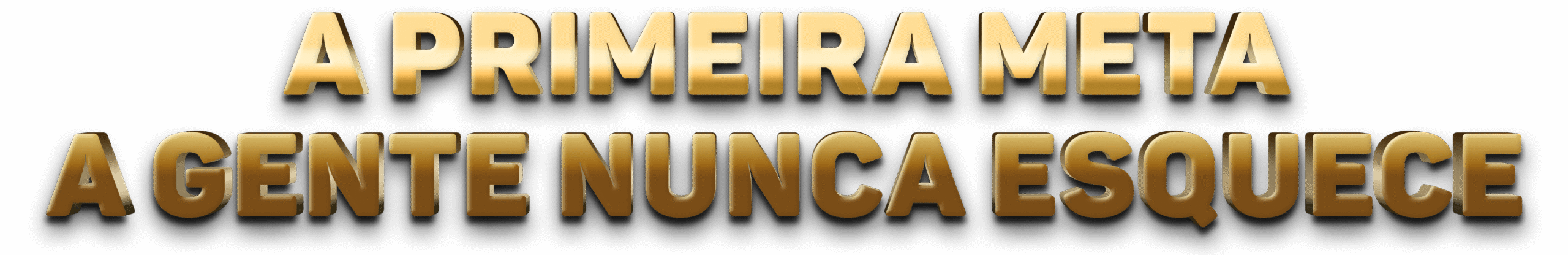 A-primeira-meta-a-gente-nunca-esquece